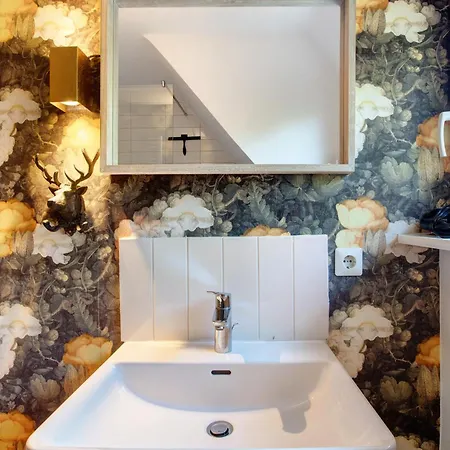 Haslehaus Daire Feldberg (Baden-Wurttemberg)