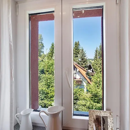 Haslehaus Апартаменты Фельдберг